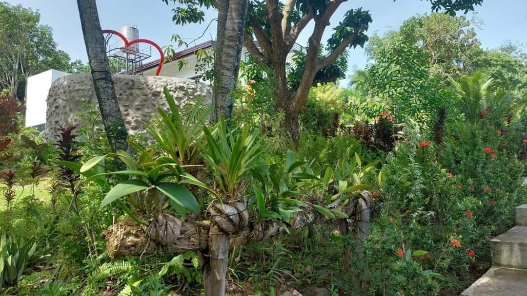 Matteo'S Hus Villa Rental Zamboanguita  Exterior photo